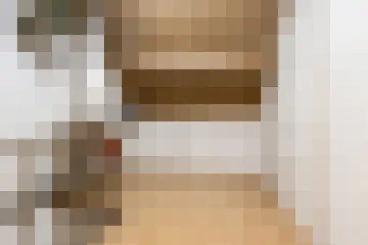 Deken Wehmeijerhof 4 Velddriel thumbnail 39