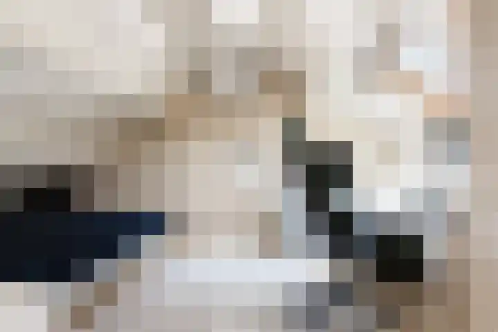 Deken Wehmeijerhof 4 Velddriel thumbnail 40