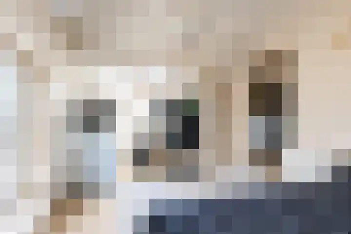 Deken Wehmeijerhof 4 Velddriel thumbnail 42