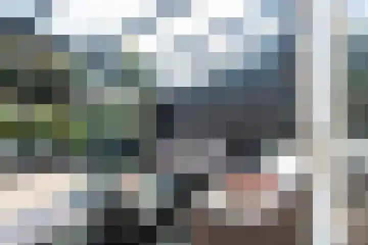 Deken Wehmeijerhof 4 Velddriel thumbnail 43