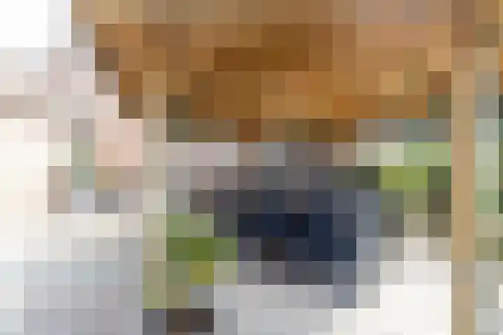 Deken Wehmeijerhof 4 Velddriel thumbnail 47