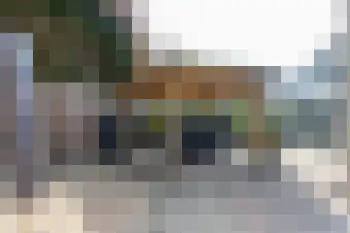 Deken Wehmeijerhof 4 Velddriel thumbnail 48