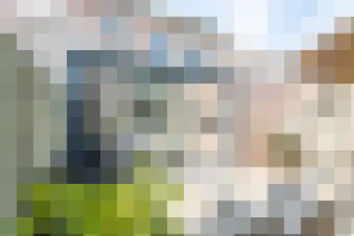 Deken Wehmeijerhof 4 Velddriel thumbnail 5