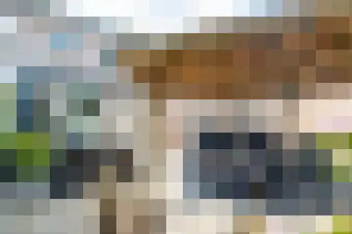 Deken Wehmeijerhof 4 Velddriel thumbnail 50