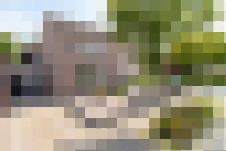 Deken Wehmeijerhof 4 Velddriel thumbnail 53
