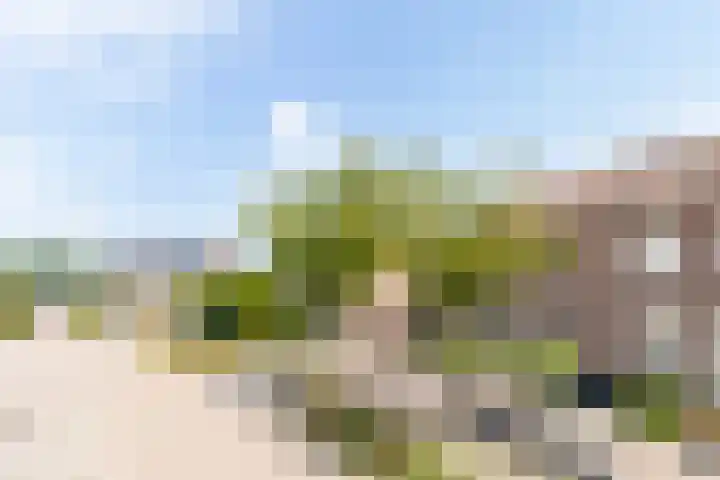 Deken Wehmeijerhof 4 Velddriel thumbnail 57