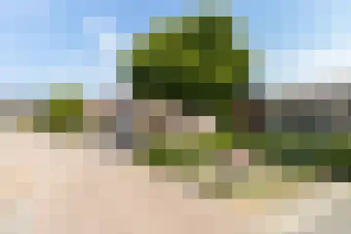 Deken Wehmeijerhof 4 Velddriel thumbnail 58