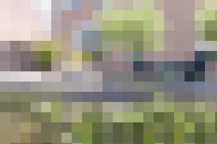 Deken Wehmeijerhof 4 Velddriel thumbnail 59