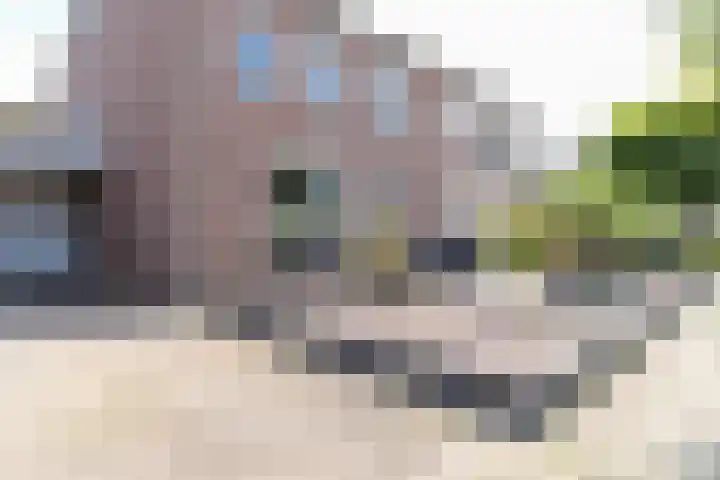 Deken Wehmeijerhof 4 Velddriel thumbnail 6