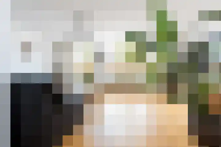 Deken Wehmeijerhof 4 Velddriel thumbnail 7