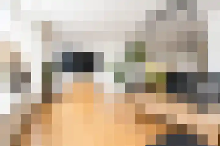 Deken Wehmeijerhof 4 Velddriel thumbnail 8