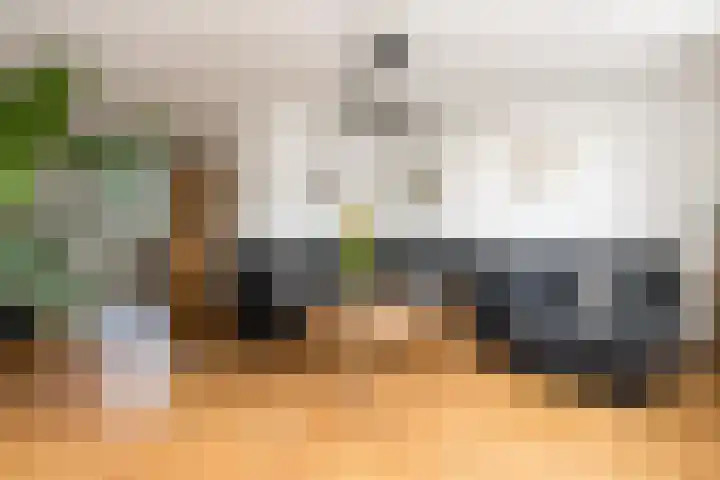 Deken Wehmeijerhof 4 Velddriel thumbnail 9