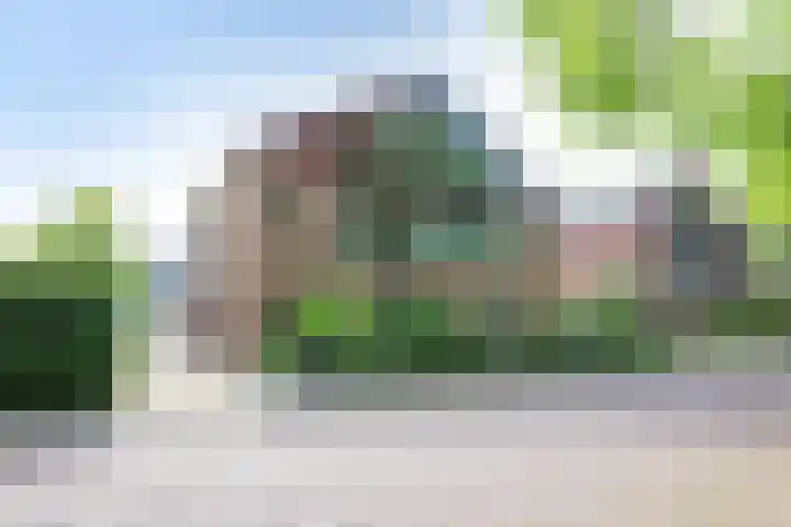 Deken Zondaglaan 130 Vogelenzang