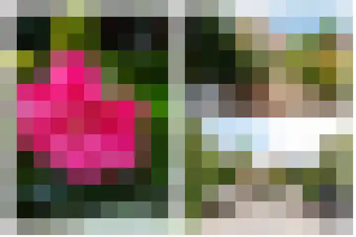 Deken Zondaglaan 130 Vogelenzang thumbnail 10
