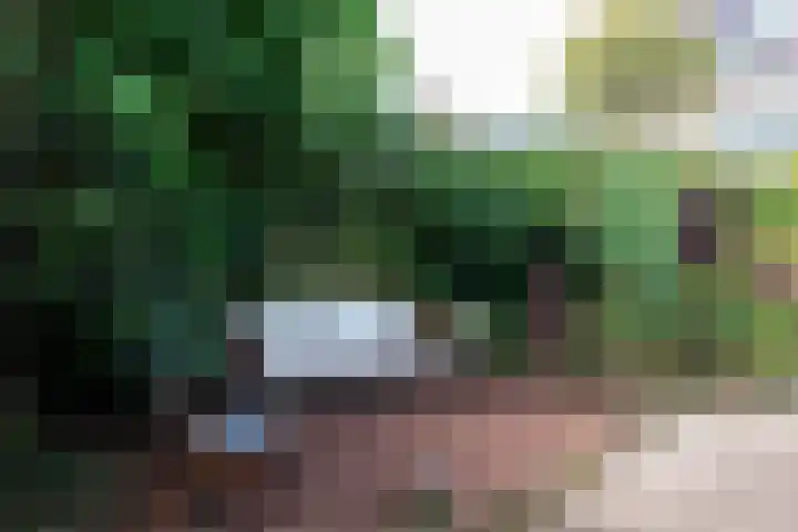 Deken Zondaglaan 130 Vogelenzang thumbnail 12