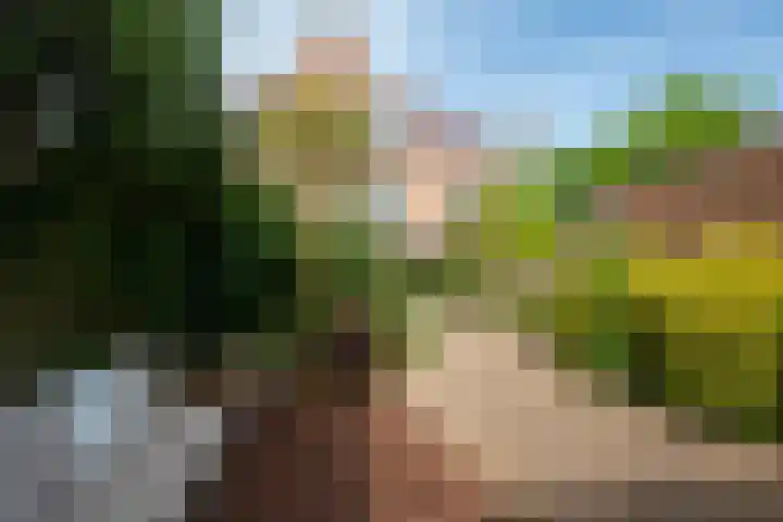 Deken Zondaglaan 130 Vogelenzang thumbnail 13