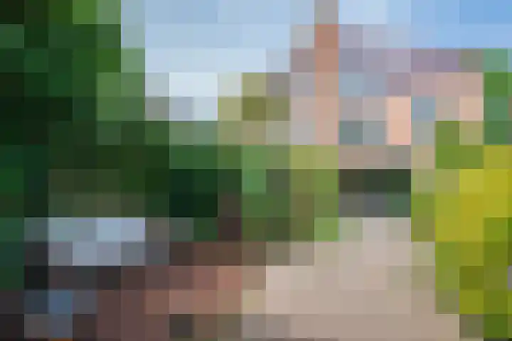 Deken Zondaglaan 130 Vogelenzang thumbnail 14