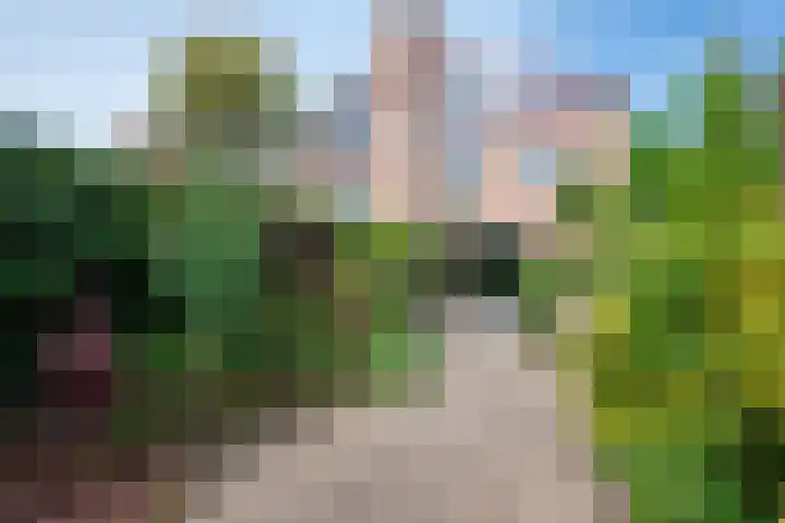 Deken Zondaglaan 130 Vogelenzang thumbnail 15