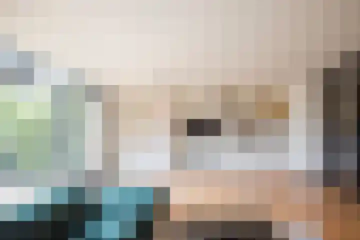 Deken Zondaglaan 130 Vogelenzang thumbnail 17
