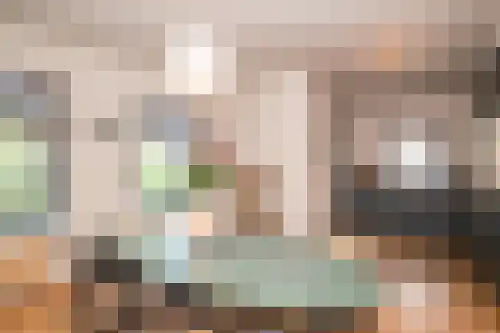 Deken Zondaglaan 130 Vogelenzang thumbnail 22
