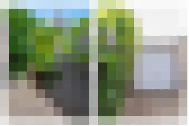 Deken Zondaglaan 130 Vogelenzang thumbnail 4