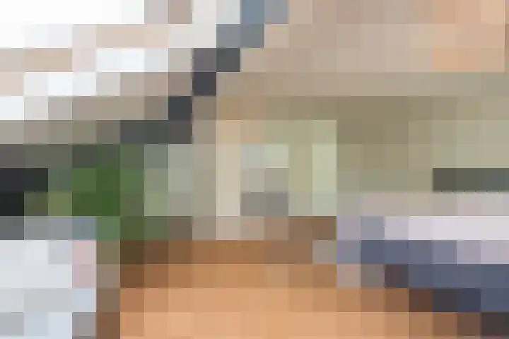 Deken Zondaglaan 130 Vogelenzang thumbnail 47