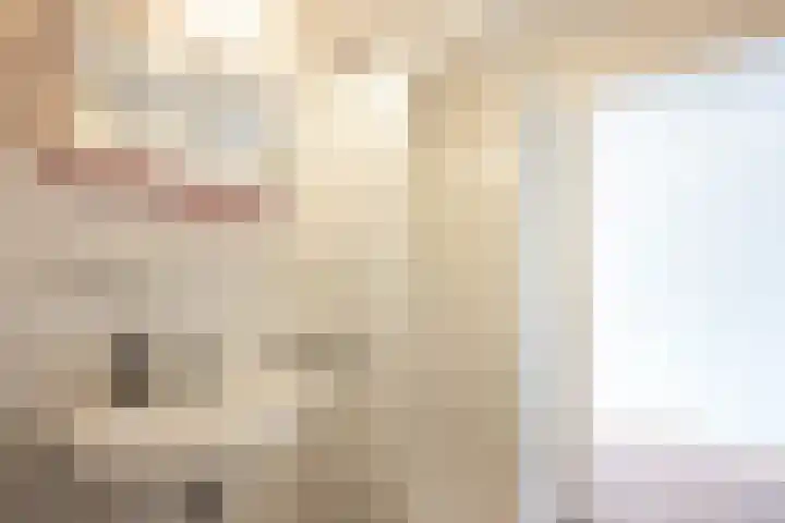 Deken Zondaglaan 130 Vogelenzang thumbnail 57