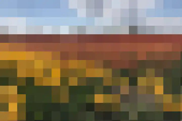 Deken Zondaglaan 130 Vogelenzang thumbnail 63
