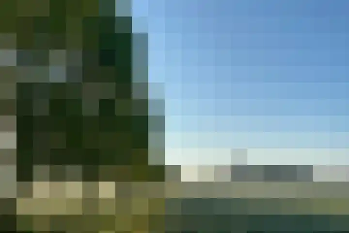 Deken Zondaglaan 130 Vogelenzang thumbnail 64