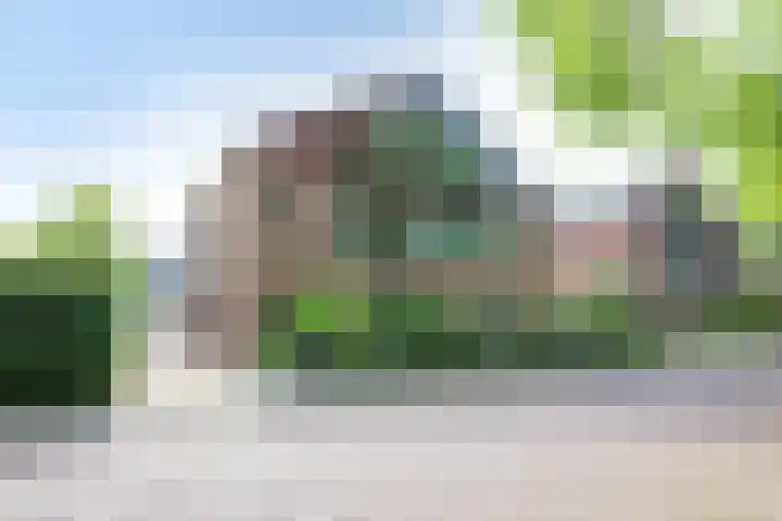 Deken Zondaglaan 130 Vogelenzang thumbnail 72