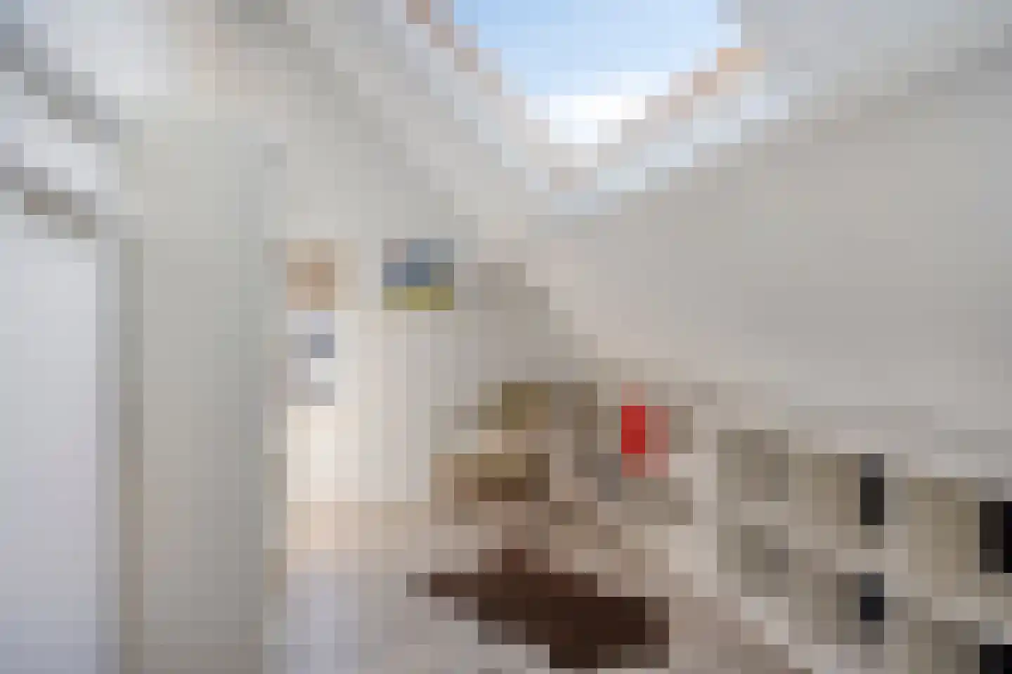 Dekenstraat 3 Loon op Zand thumbnail 46