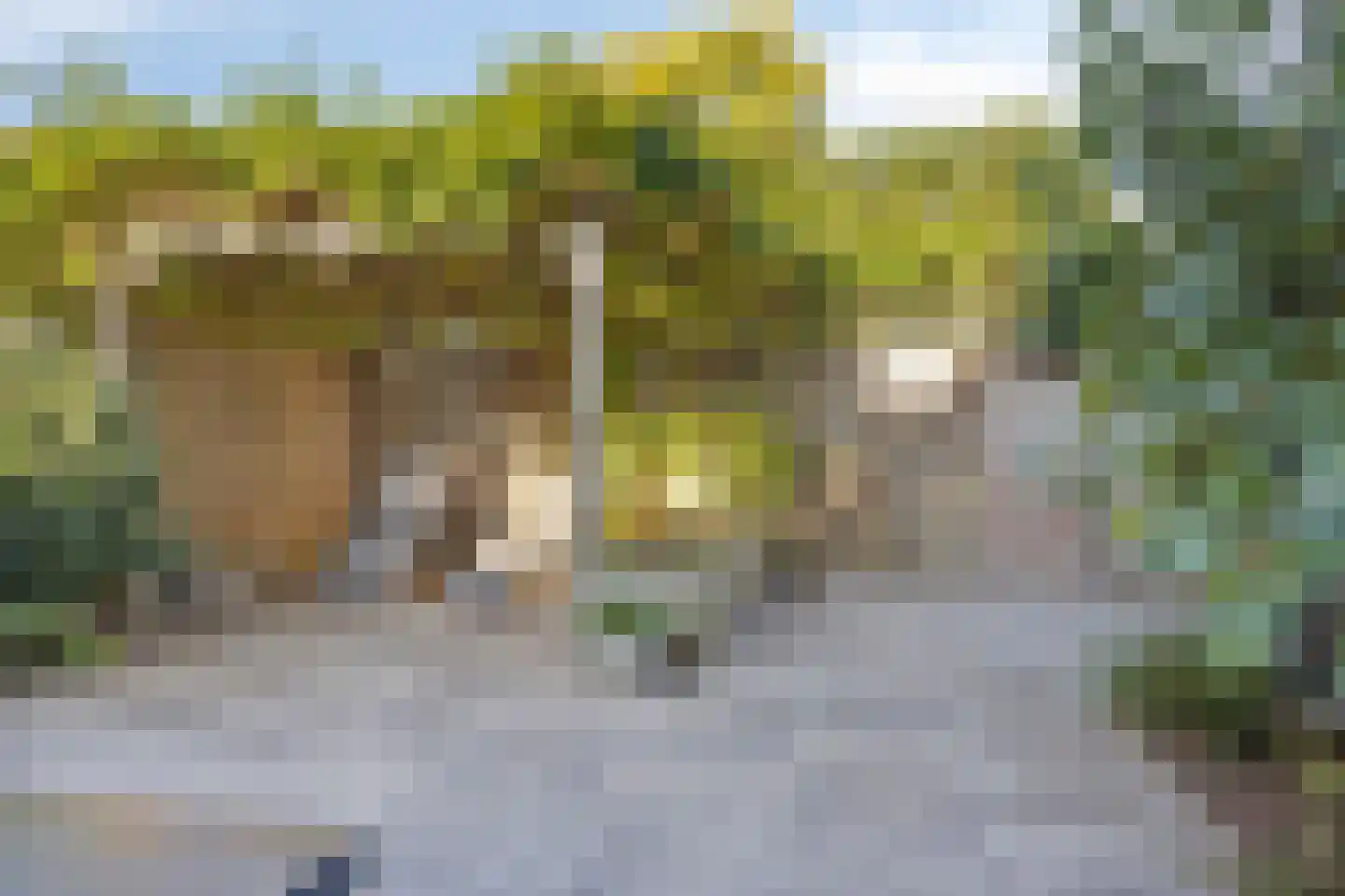 Dekenstraat 3 Loon op Zand thumbnail 48