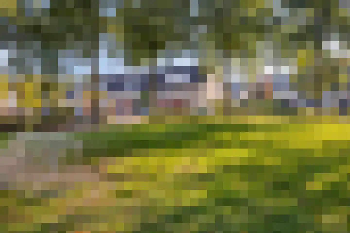 Dekenstraat 3 Loon op Zand thumbnail 52