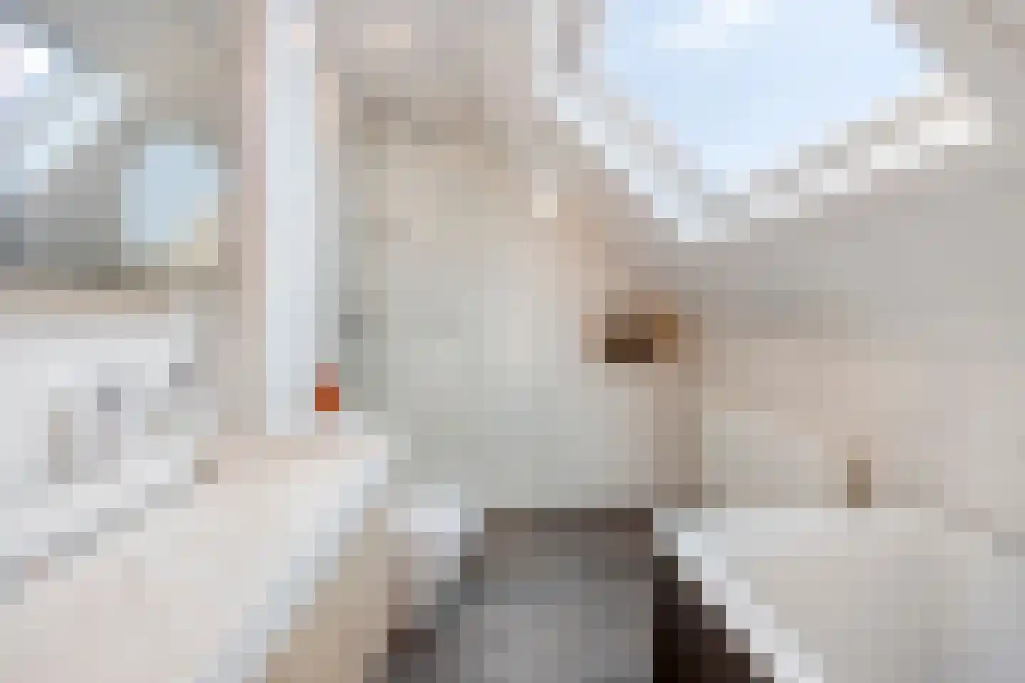 Dekenstraat 3 Loon op Zand thumbnail 7