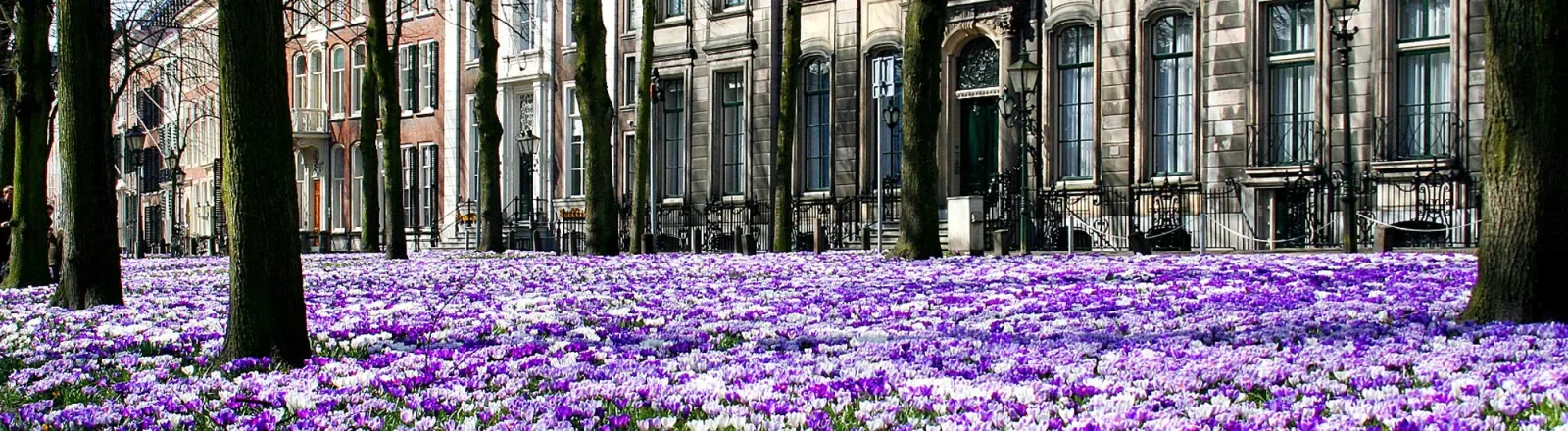 Mannschaftsfoto von Dekkers De Groot Makelaardij