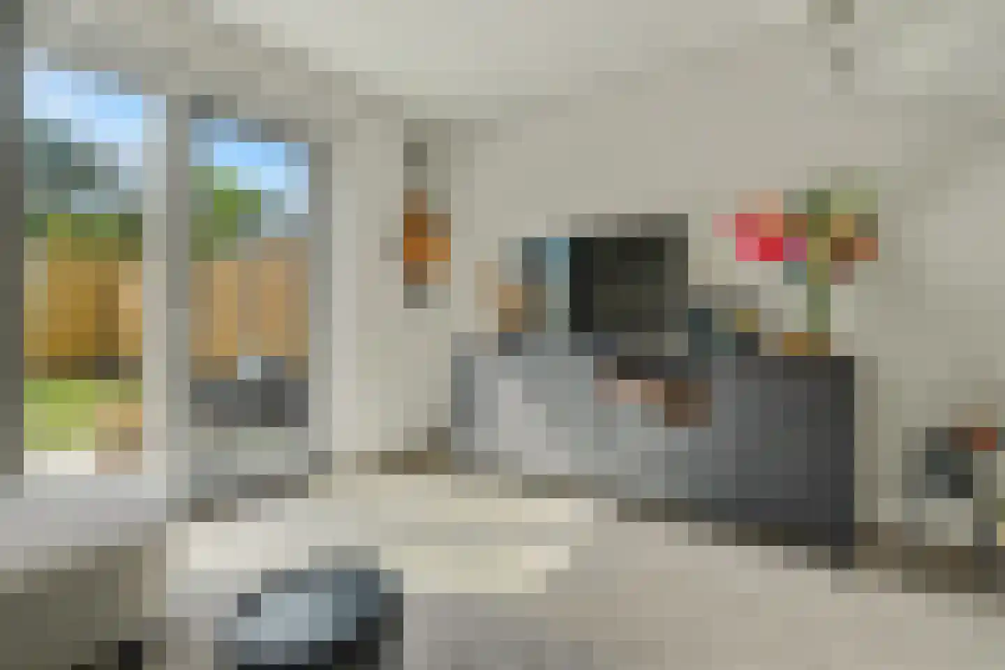 Dekkersdries 46 Bergeijk thumbnail 11
