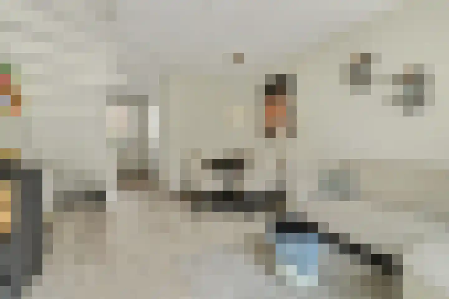 Dekkersdries 46 Bergeijk thumbnail 12