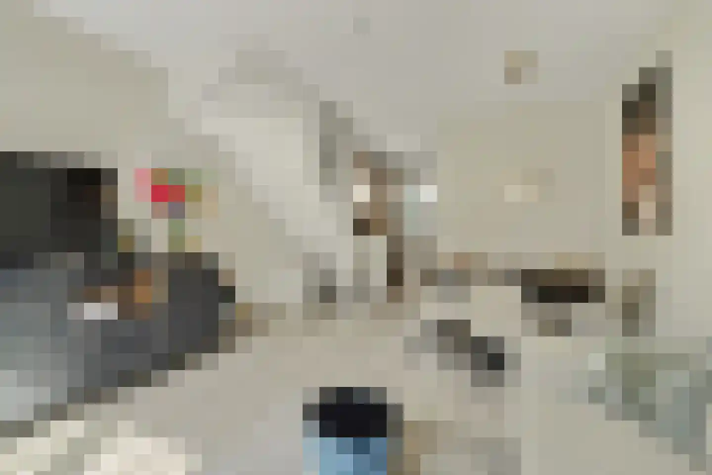 Dekkersdries 46 Bergeijk thumbnail 13