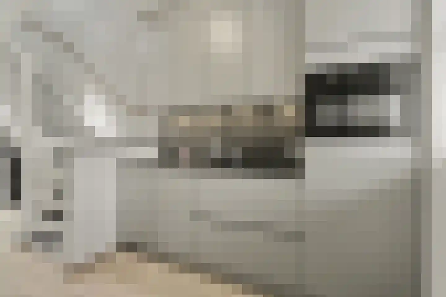 Dekkersdries 46 Bergeijk thumbnail 14