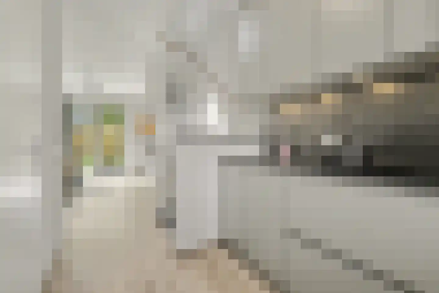 Dekkersdries 46 Bergeijk thumbnail 15