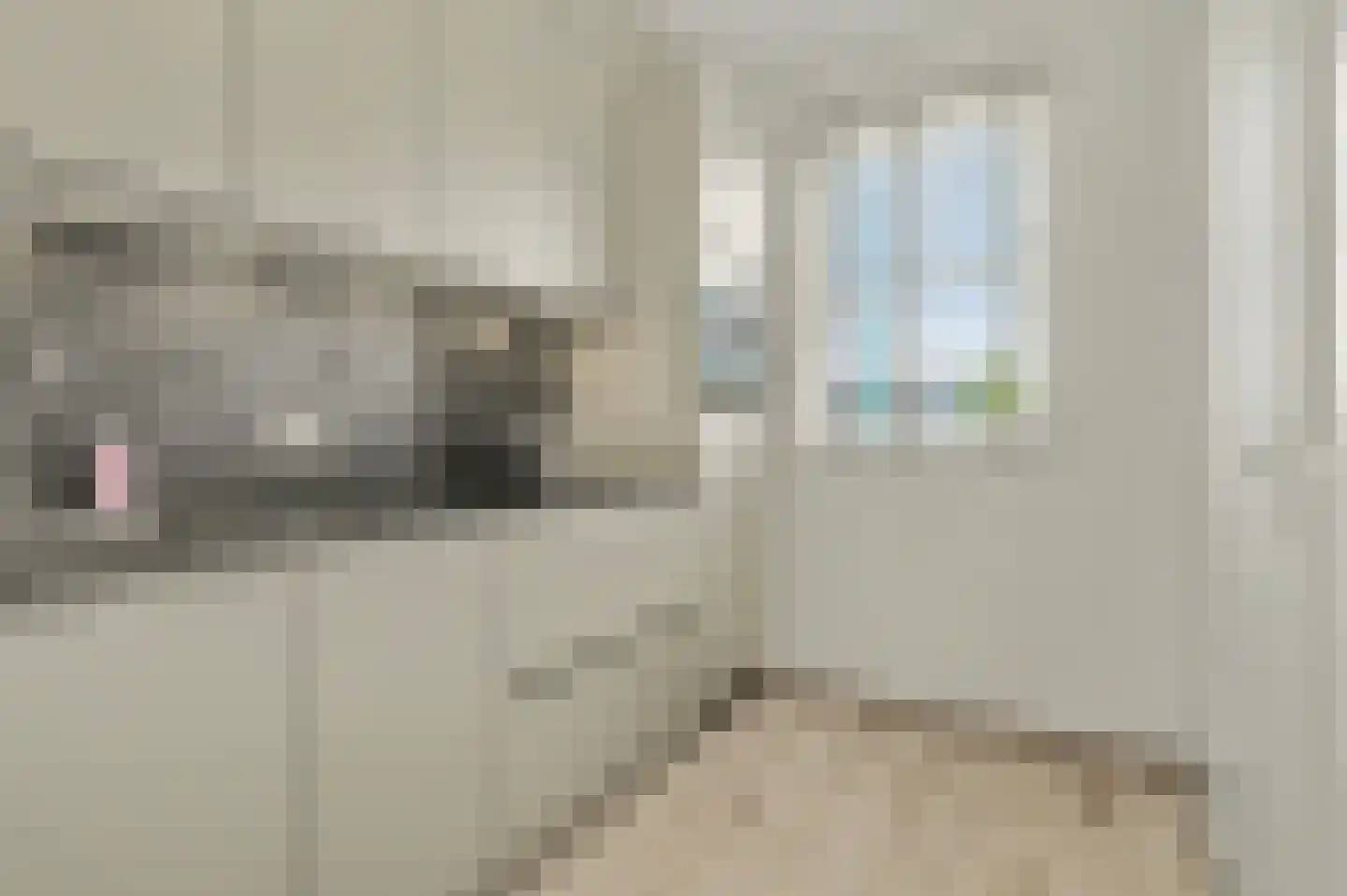 Dekkersdries 46 Bergeijk thumbnail 16