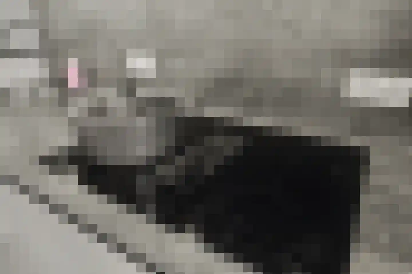 Dekkersdries 46 Bergeijk thumbnail 17