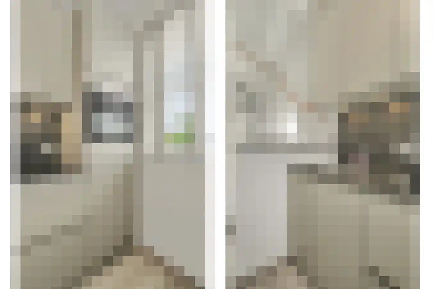 Dekkersdries 46 Bergeijk thumbnail 18