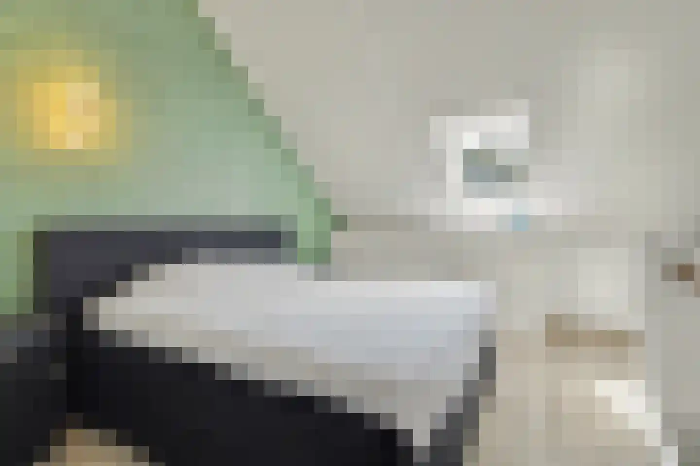 Dekkersdries 46 Bergeijk thumbnail 21