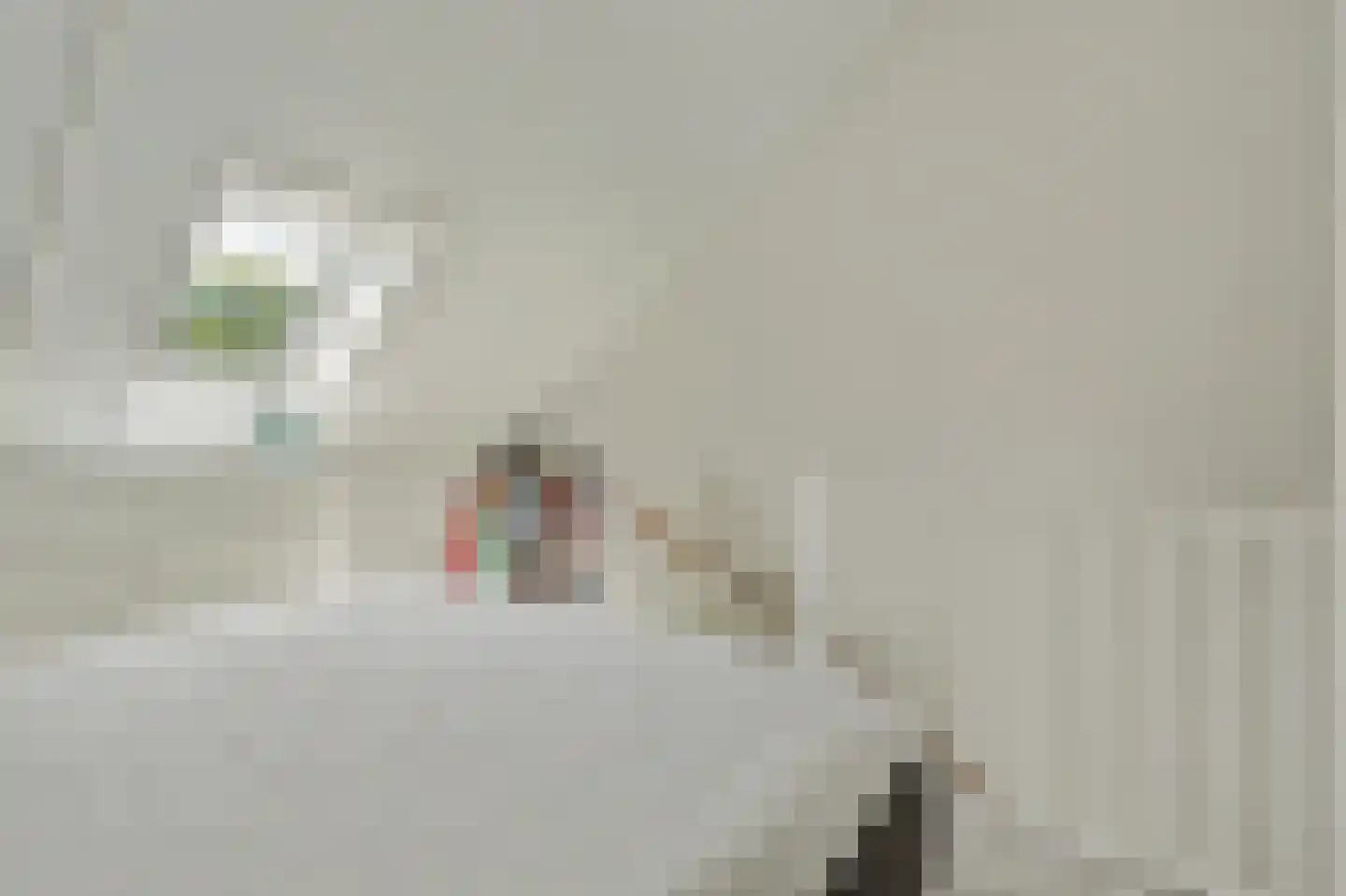 Dekkersdries 46 Bergeijk thumbnail 23