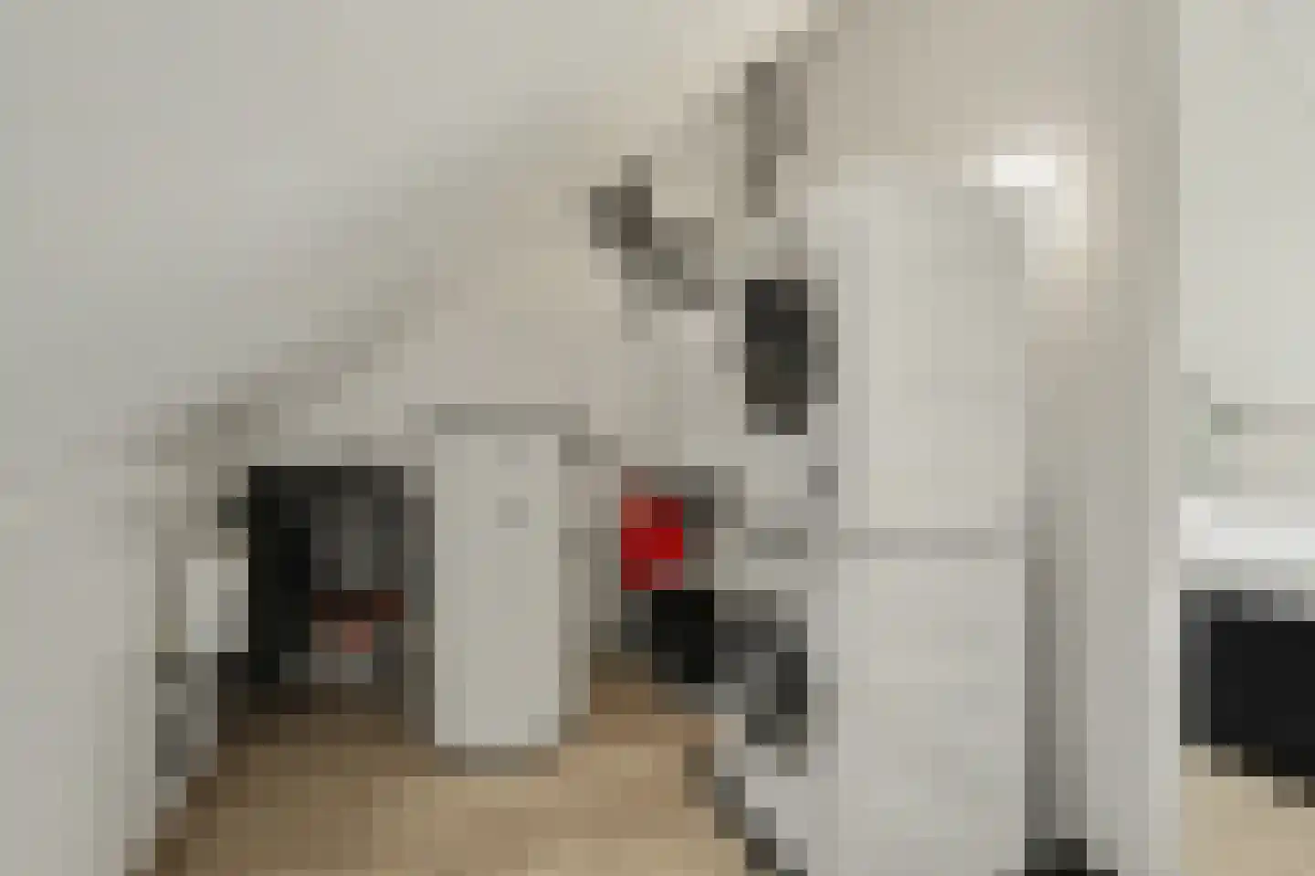 Dekkersdries 46 Bergeijk thumbnail 25