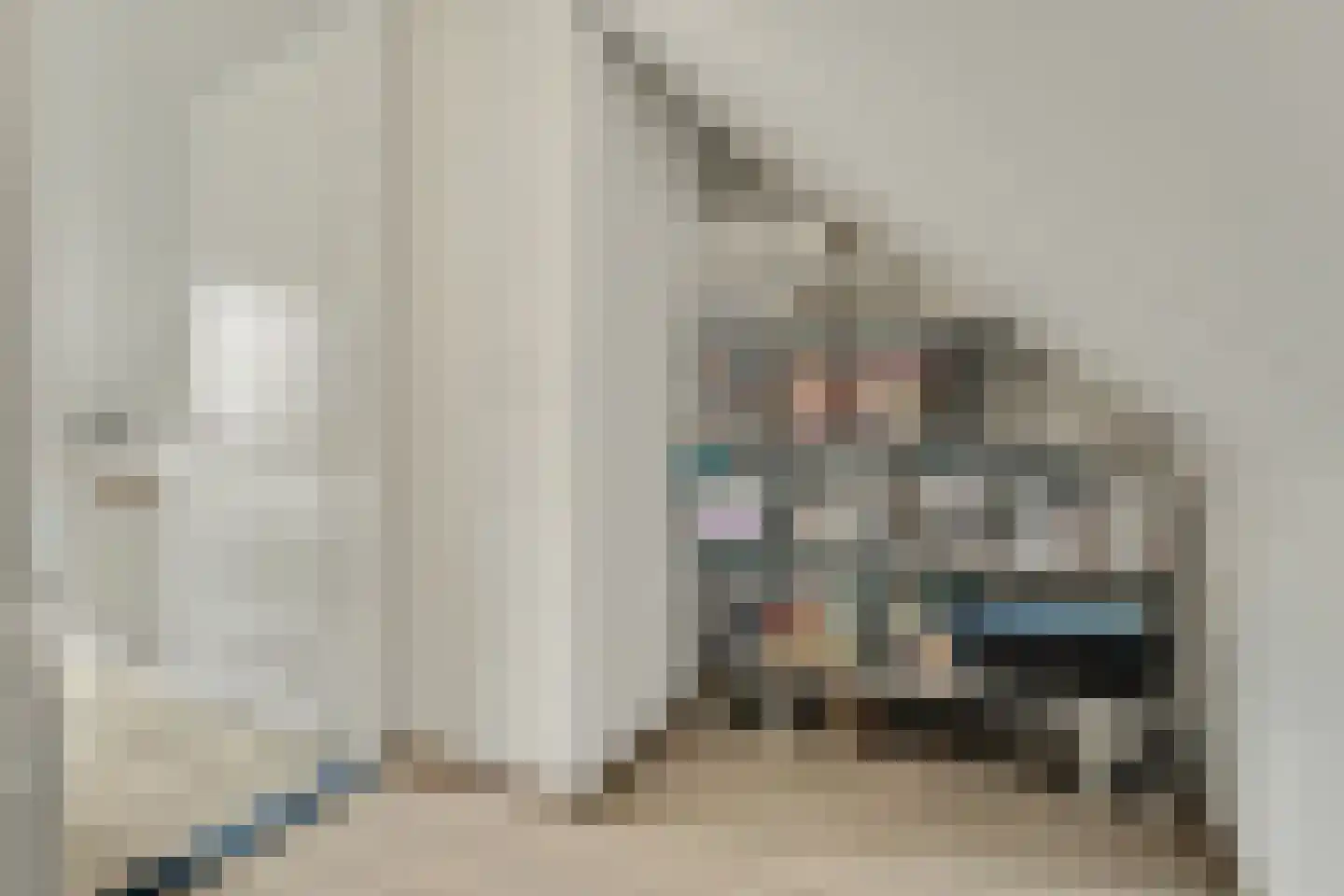 Dekkersdries 46 Bergeijk thumbnail 26