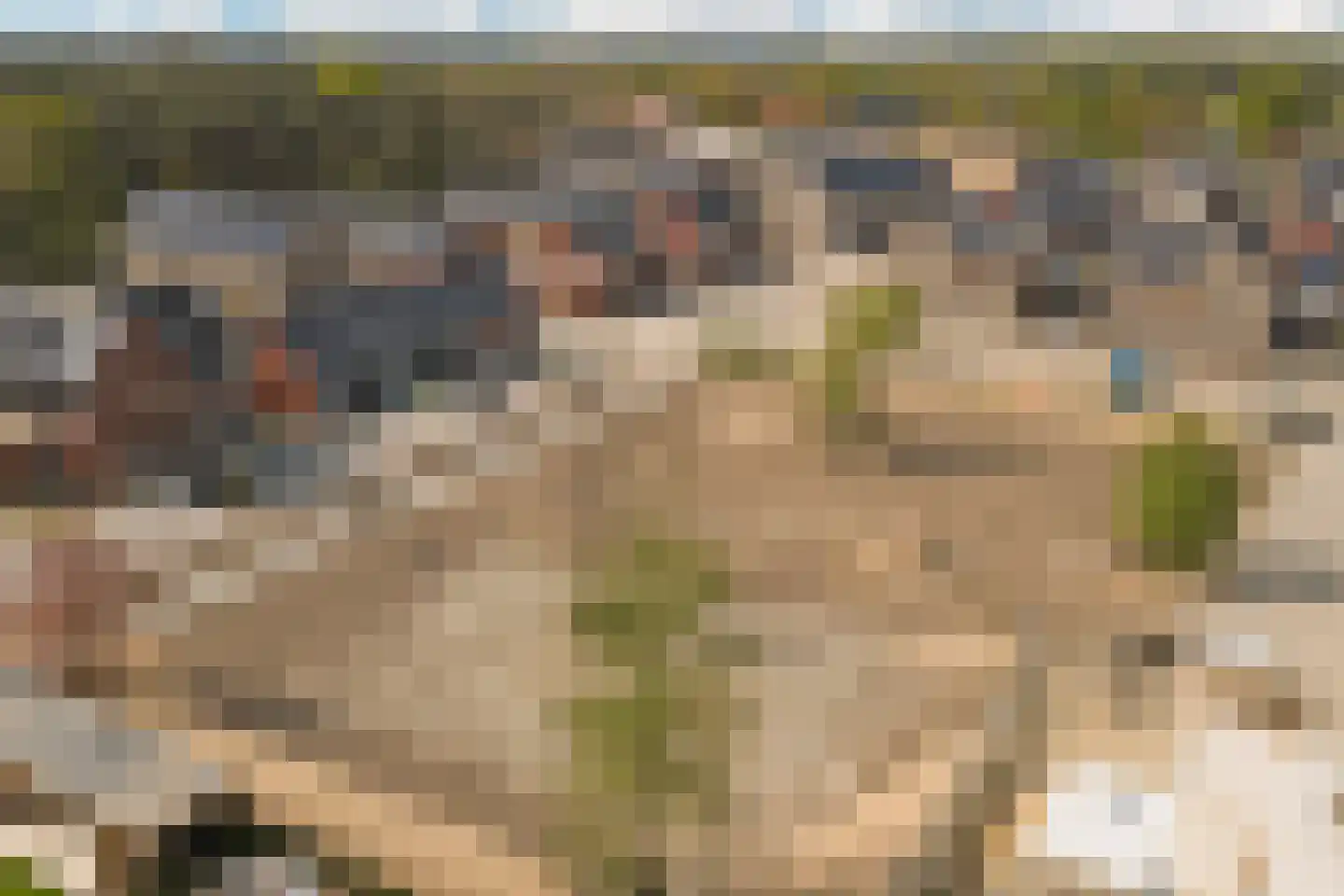 Dekkersdries 46 Bergeijk thumbnail 34