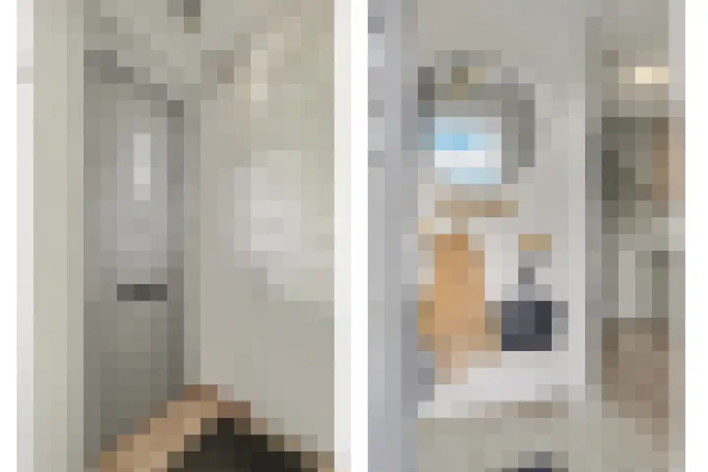 Dekkersdries 46 Bergeijk thumbnail 6