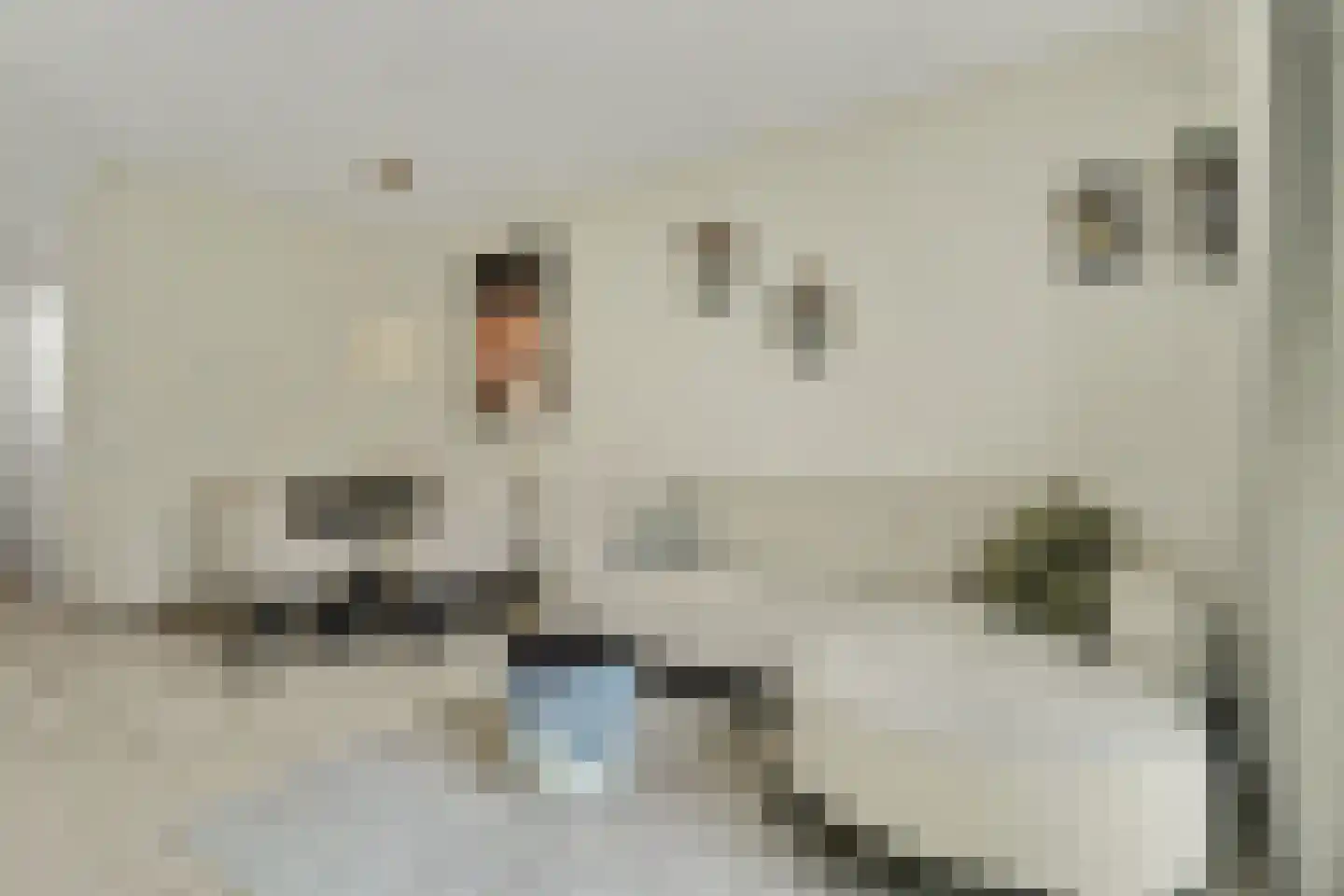 Dekkersdries 46 Bergeijk thumbnail 9